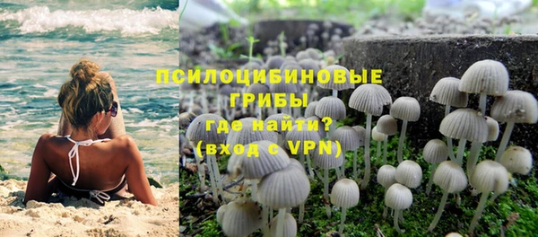 соль курить ск Гусь-Хрустальный