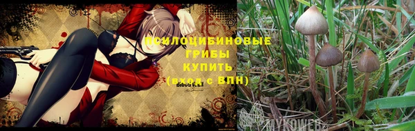 а пвп мука Гусиноозёрск