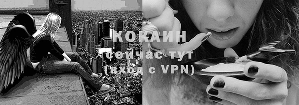 соль ск Горнозаводск